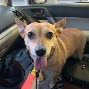 Meet your Posher, Jacqueline